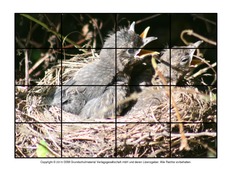 Puzzle-Amsel-2.pdf